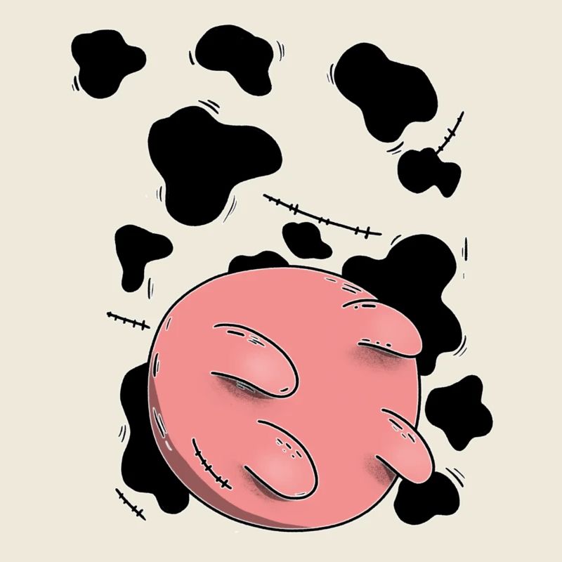 Conception du pis de vache