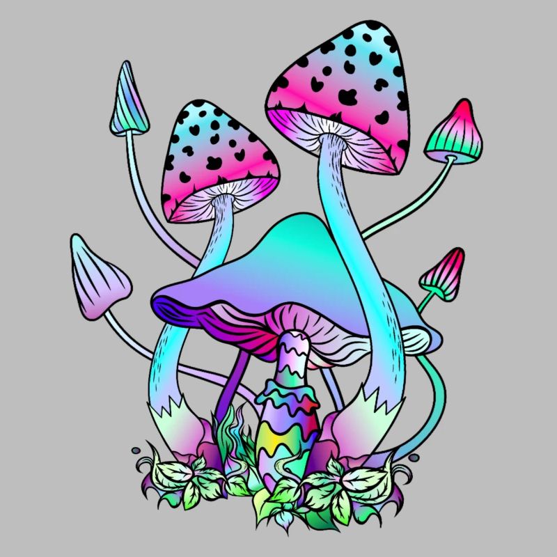 Magic Mushrooms Bunte Pilzkunst