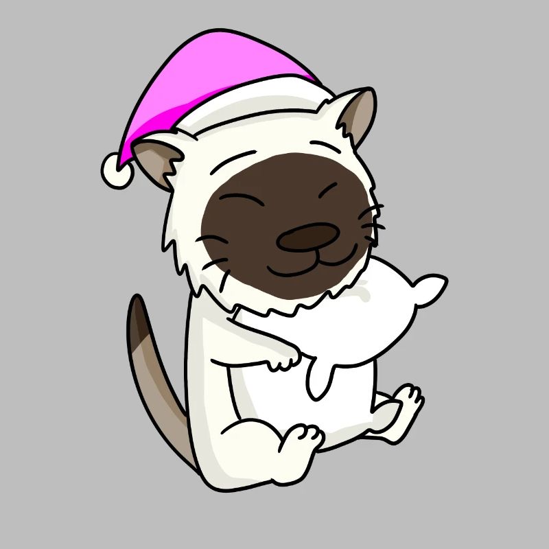 Chat race de chat Birmanie