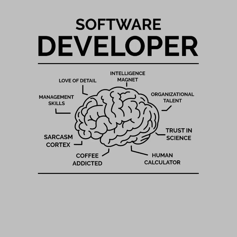 Software Developer