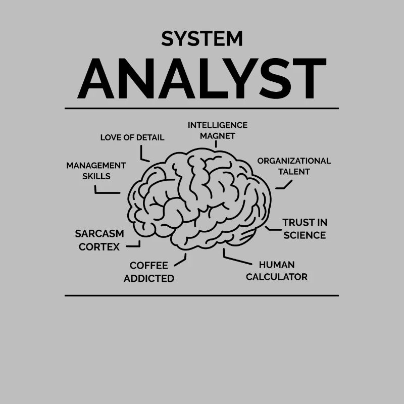Systems analyst