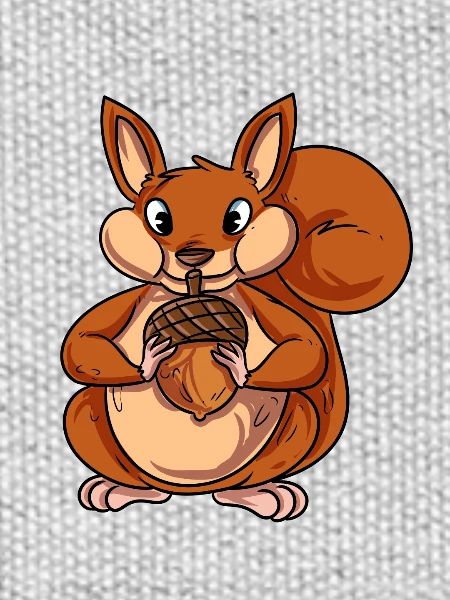 Eichhörnchen Waldtier