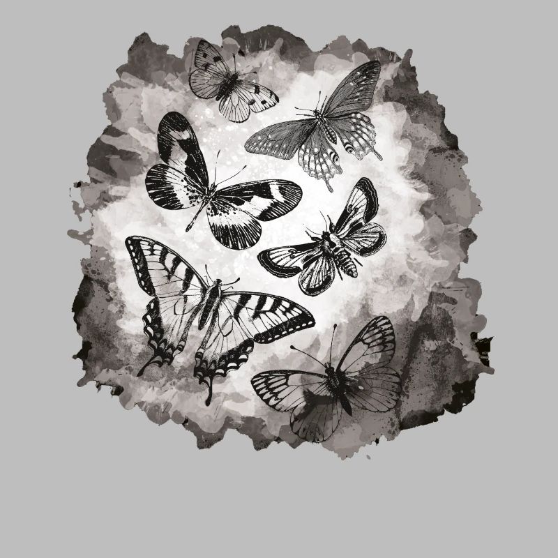 Insectes papillons