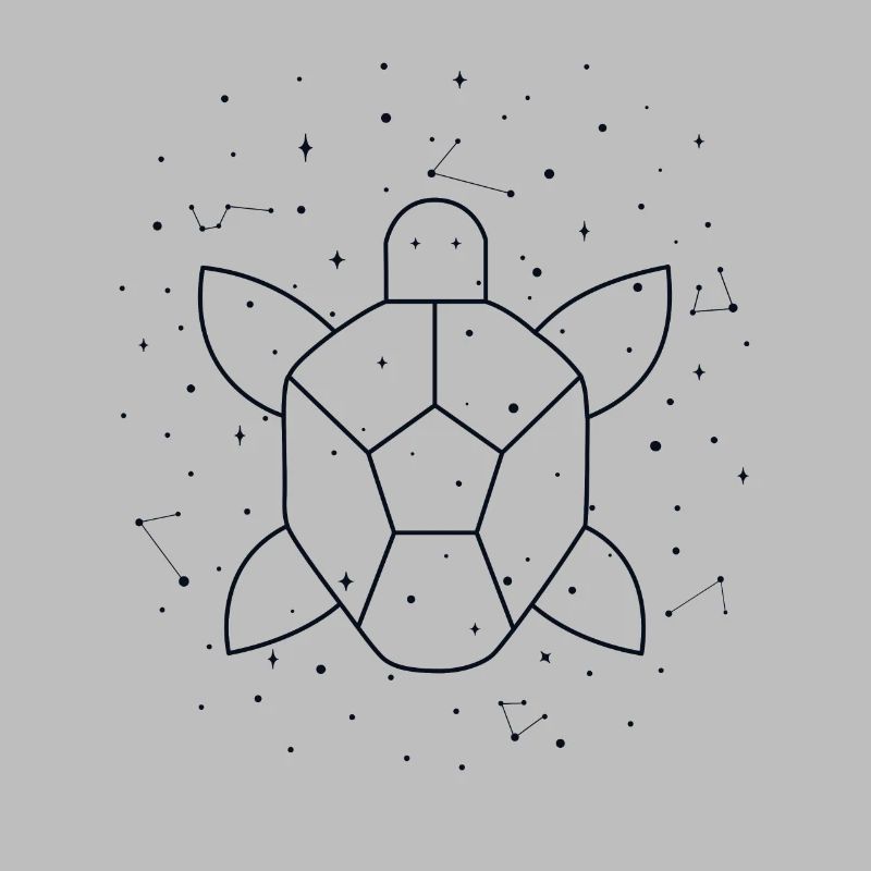 Constellation Aquatic Turtle constellation