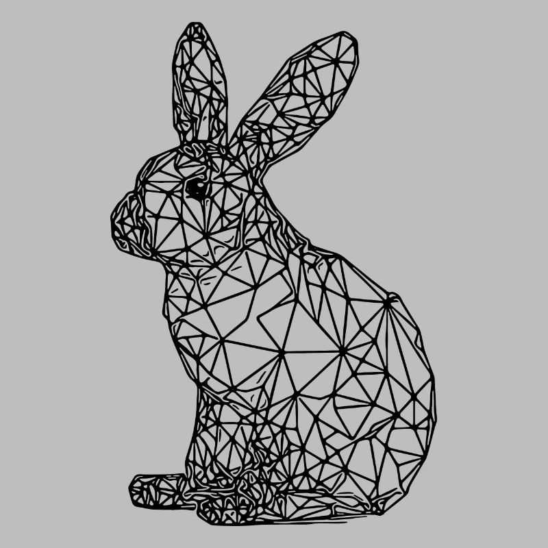 Cute Geometric Rabbit Small Lines Rabbit
