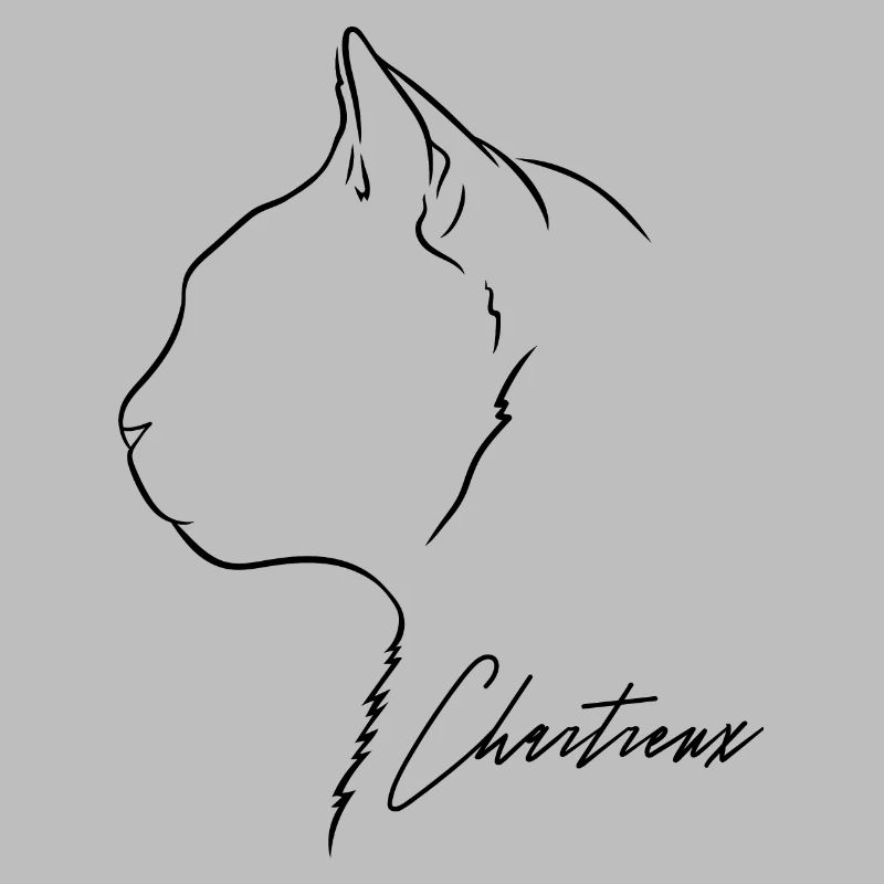 Chartreux Profil Chat Chats Wilsigns