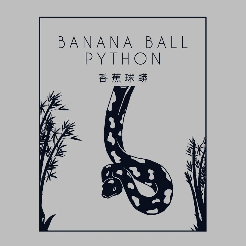 Banana Ball Python Chinese Hanzi Schlange Banana