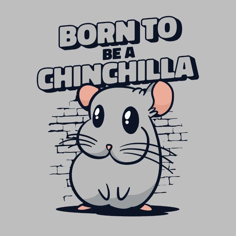 Né pour être un chinchilla à queue courte longue queue