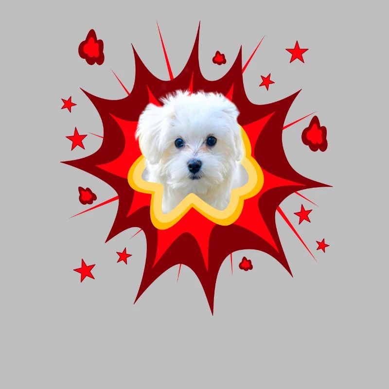 Comic Dog Design - Pow - Maltese