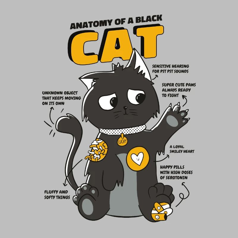 Radiographie d’un chat