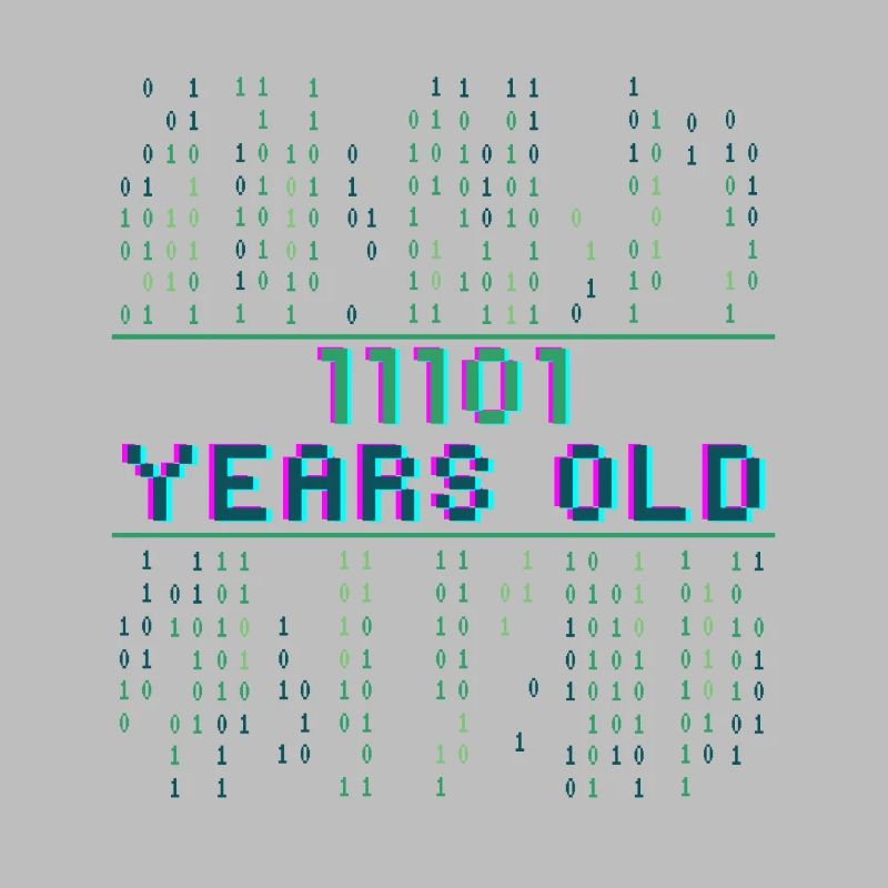 29. Geburtstag 29 Jahre alt Binärcode Coder