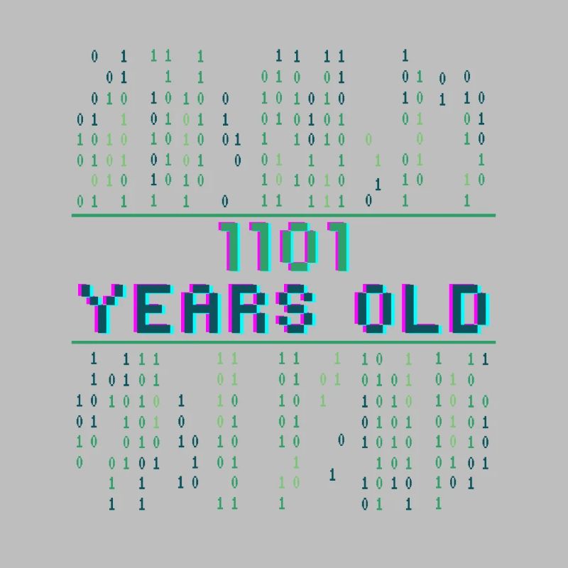 13. Geburtstag 13 Jahre alt Binärcode Coder