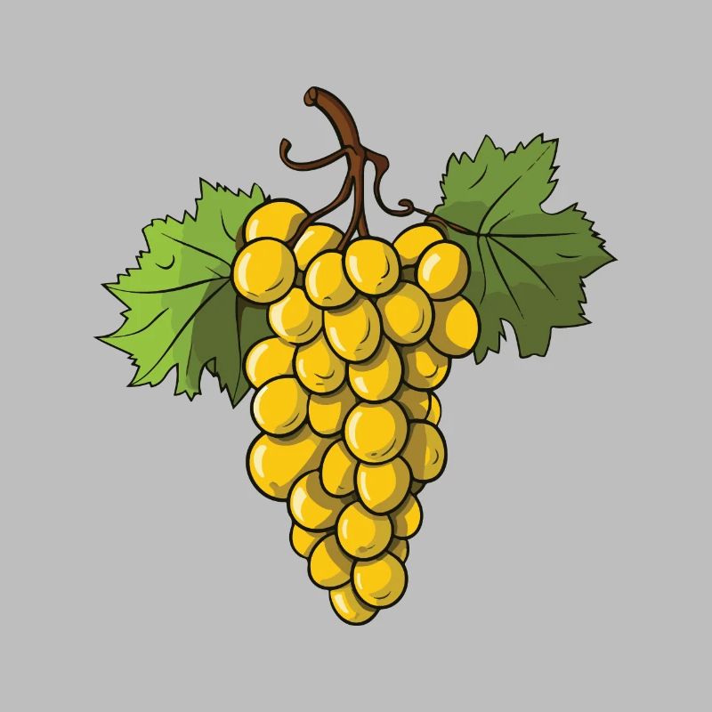 Grapes Fruit