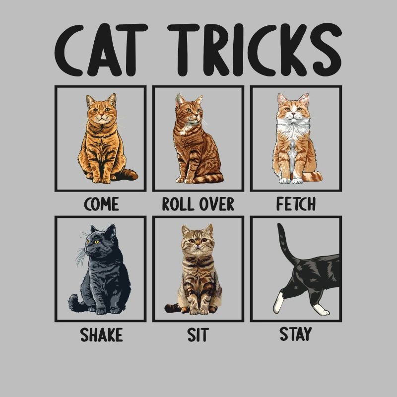 Chat Chats Astuces Chats Drôles