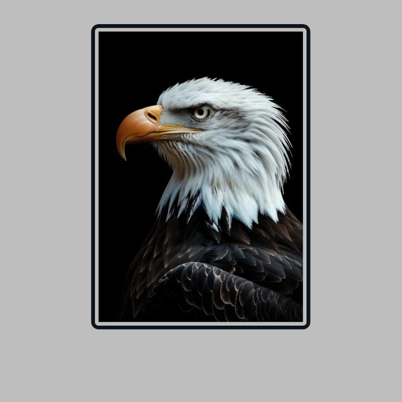 Bald Eagle Weißkopfseeadler