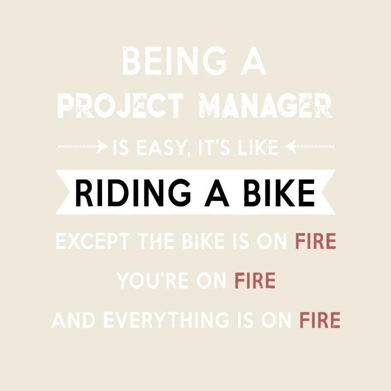 Project Manager on Fire