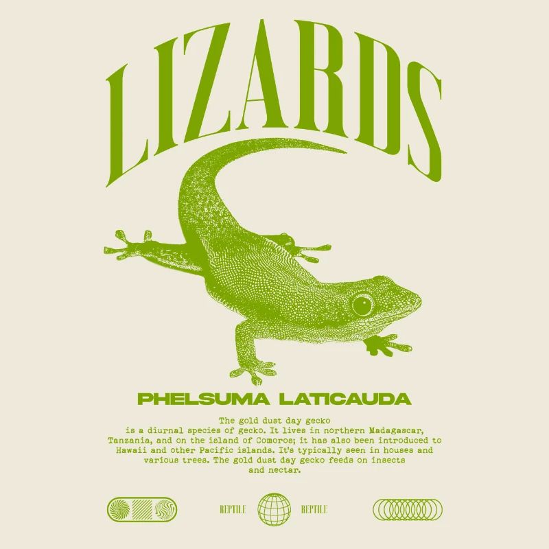 Phelsuma laticauda Day Gecko Lizard Keeper