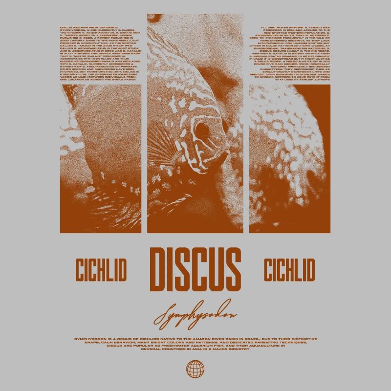 Discus Cichlidé Aquarium Fish Keeper