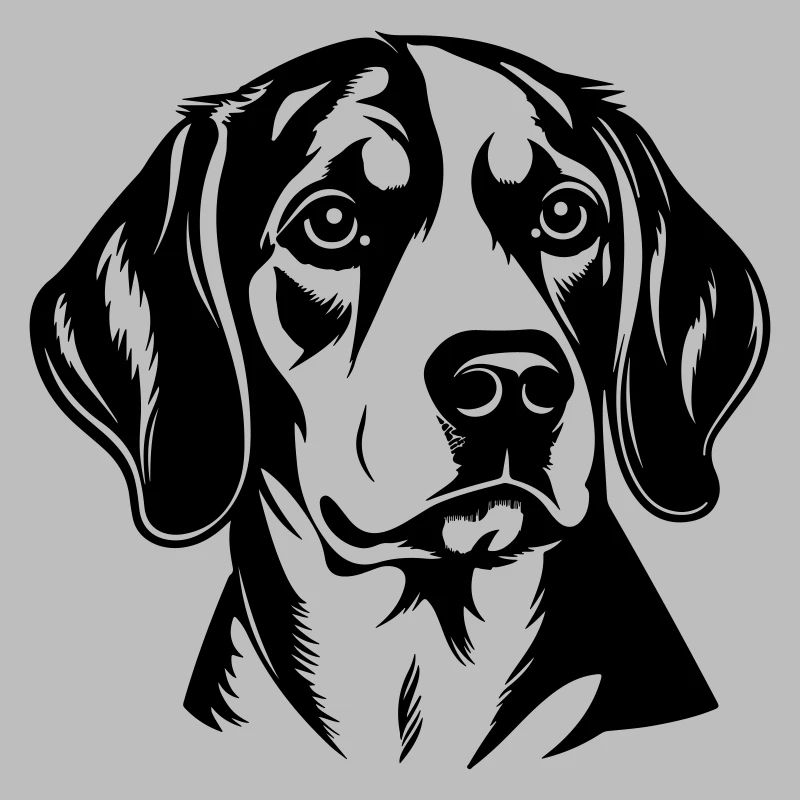 Beagle Hund Kopf