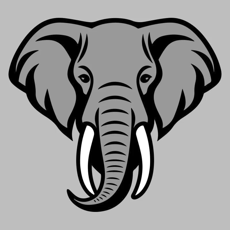 Elefant Kopf