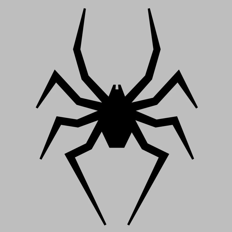 Spinne