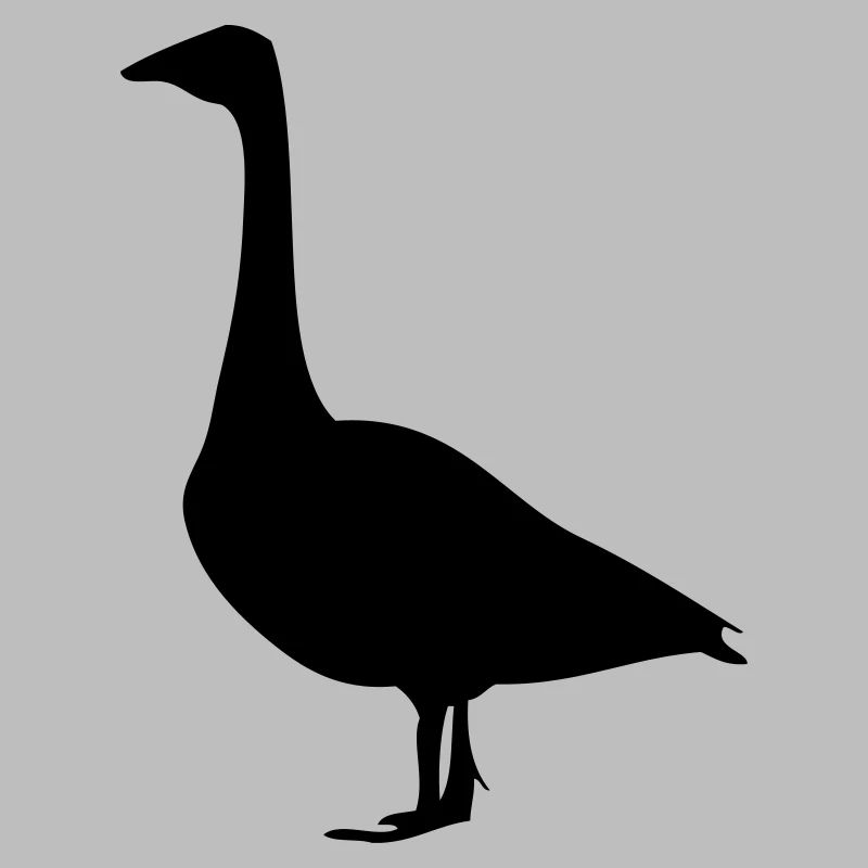 Gans