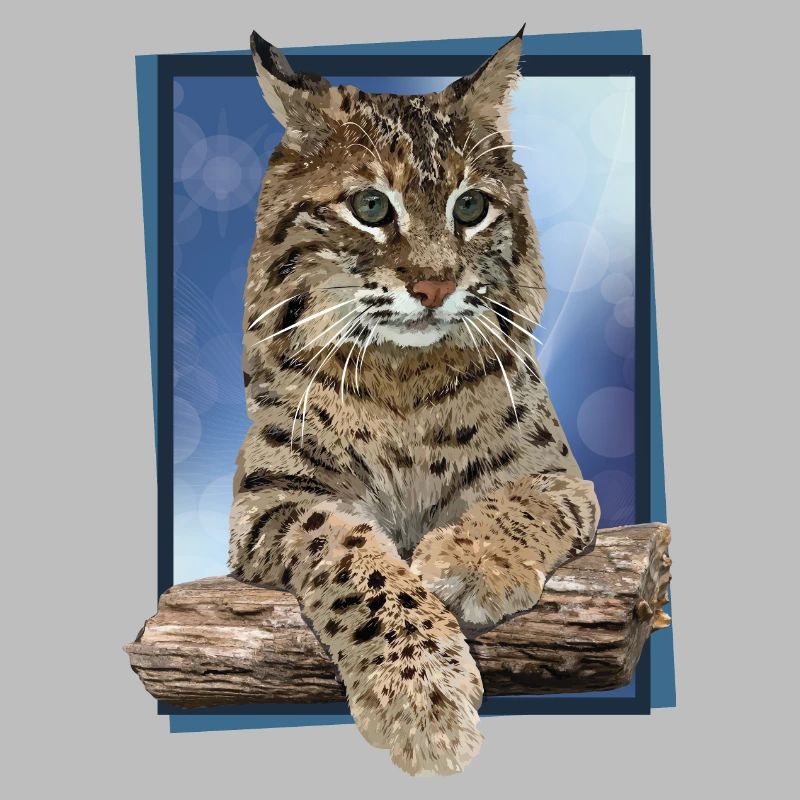 Luchs