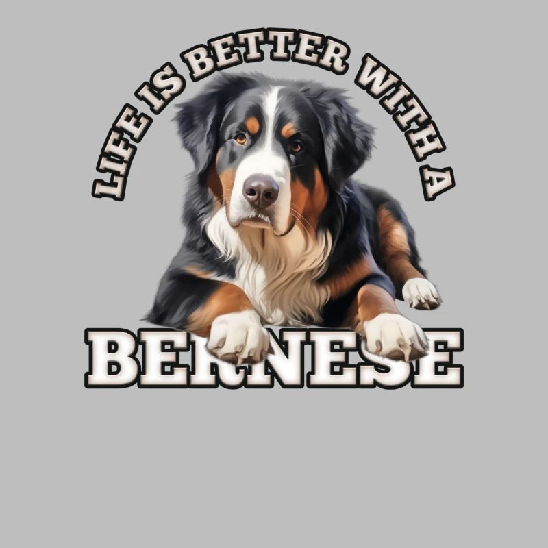 Bouvier bernois