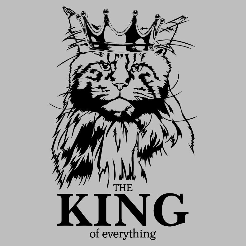 Maine Coon Roi de tout Chat Dire Chat