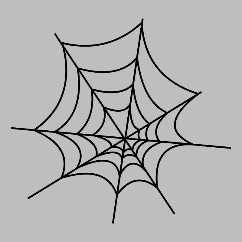Spinnennetz