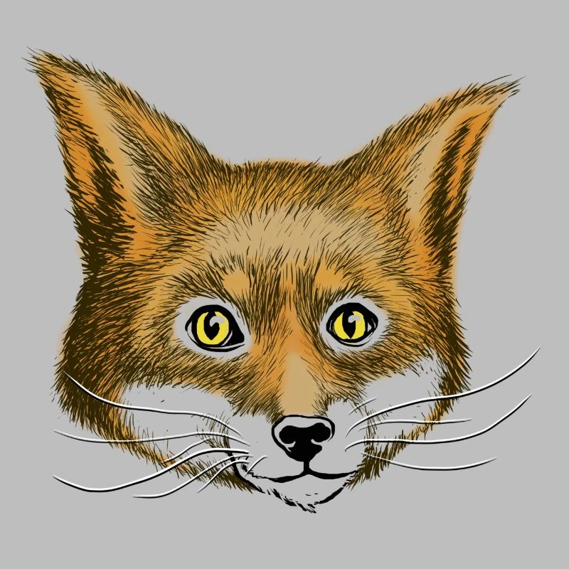 Fuchs the fox