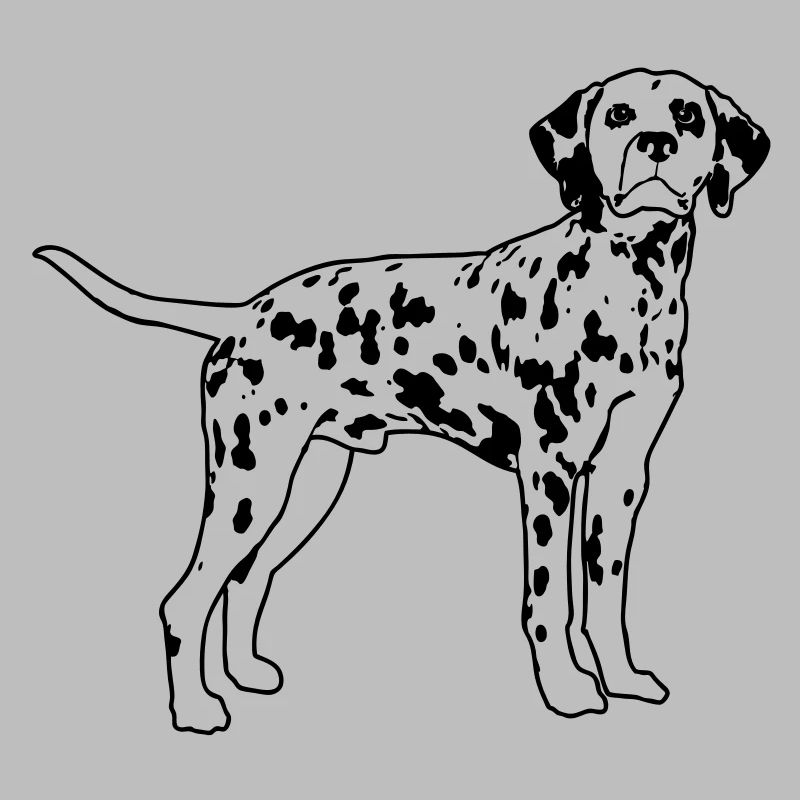 Dalmatien de