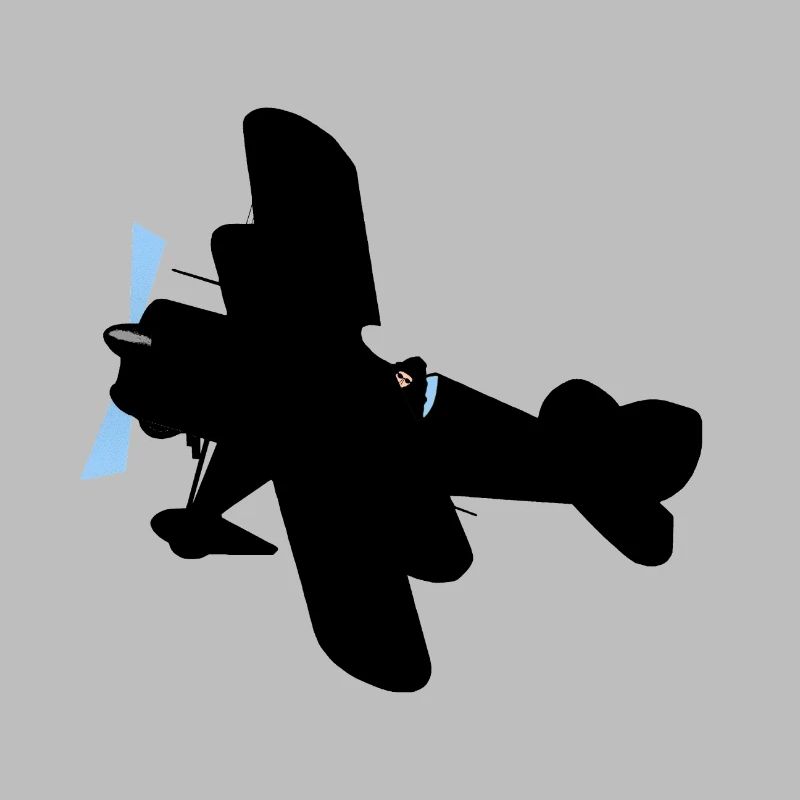 Flugzeug