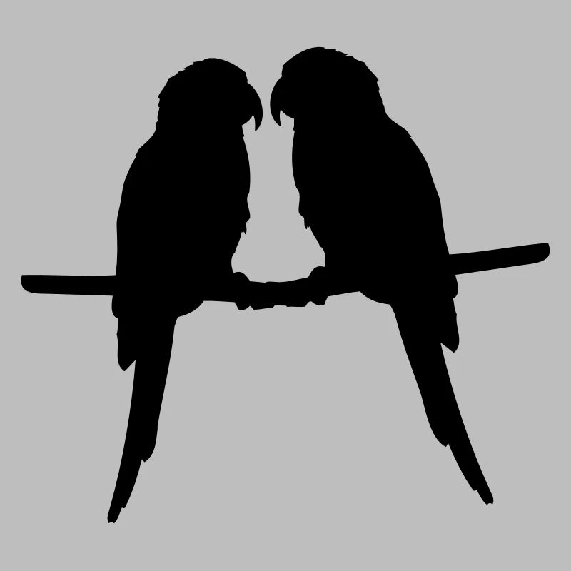 Perroquets quelques oiseaux