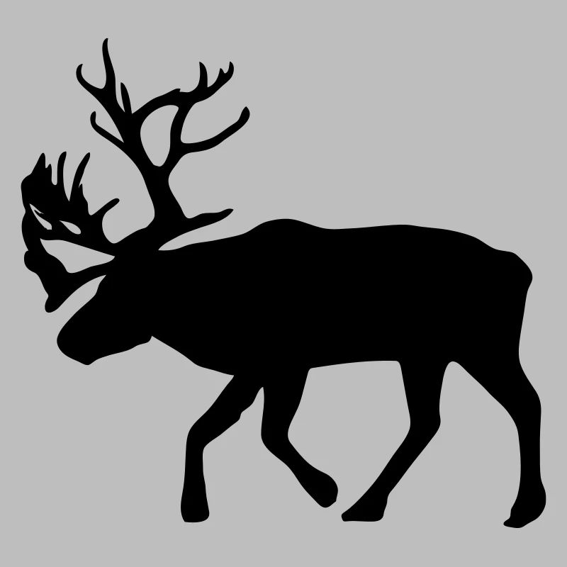 caribou - renne - noël