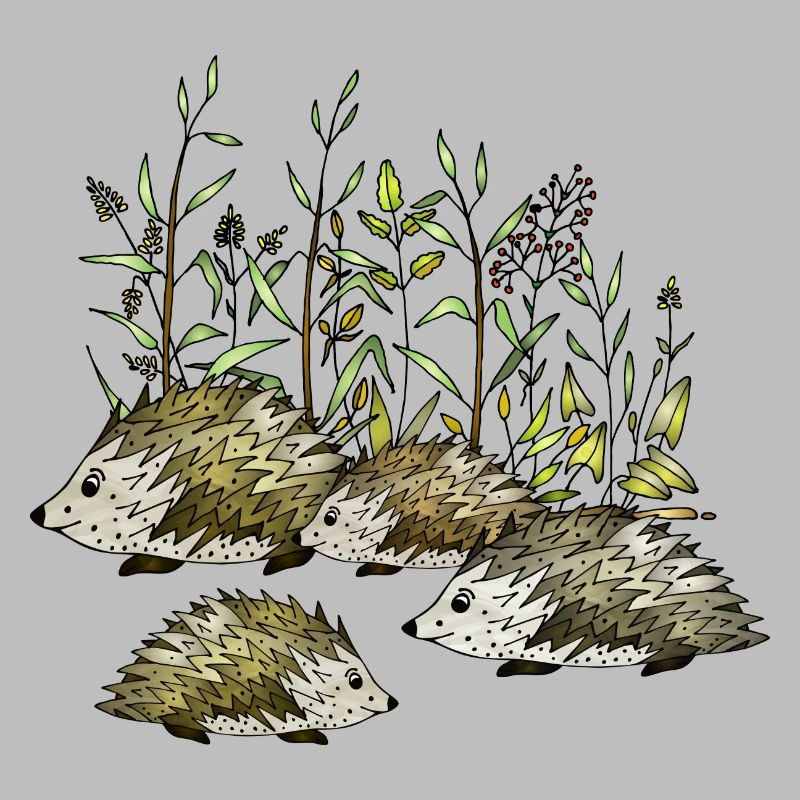Hedgehogs