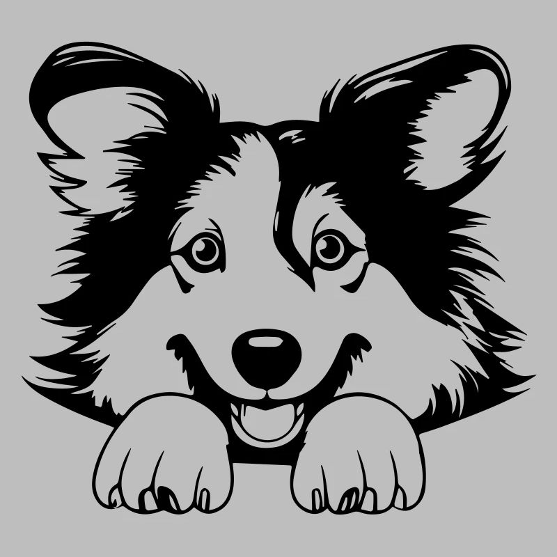 Collie