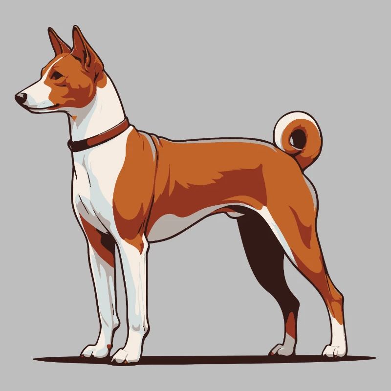 Basenji
