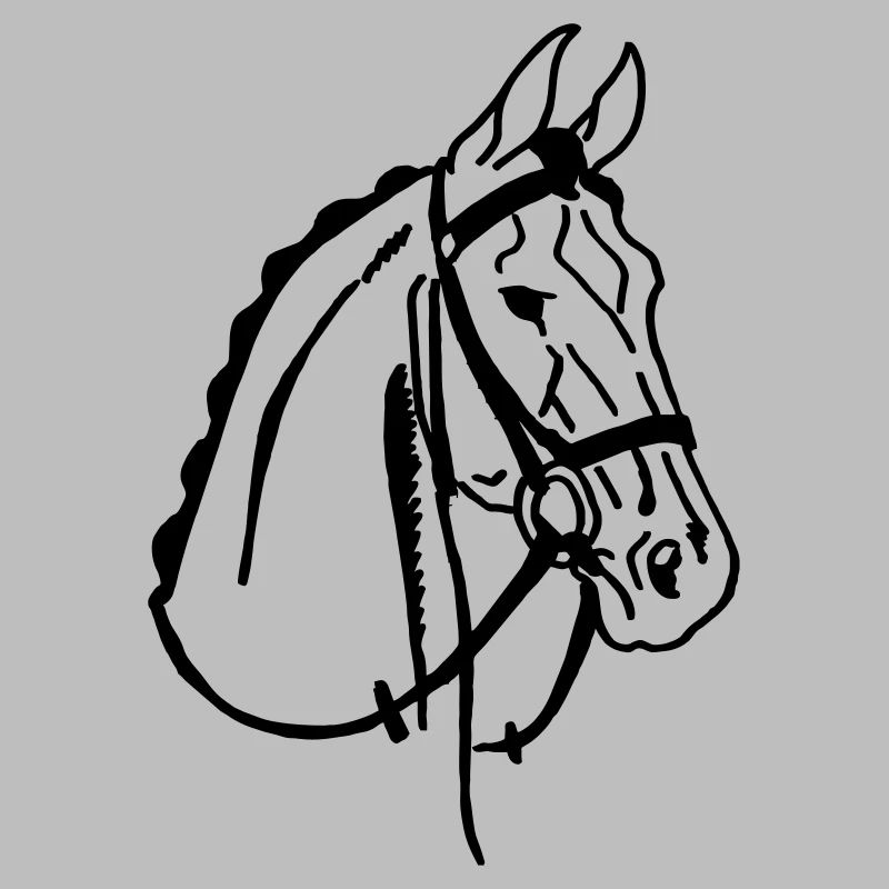 Cheval de selle