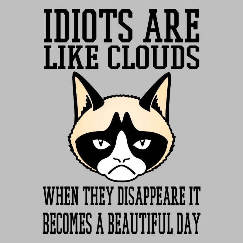 grumpy cat Idiots like clouds