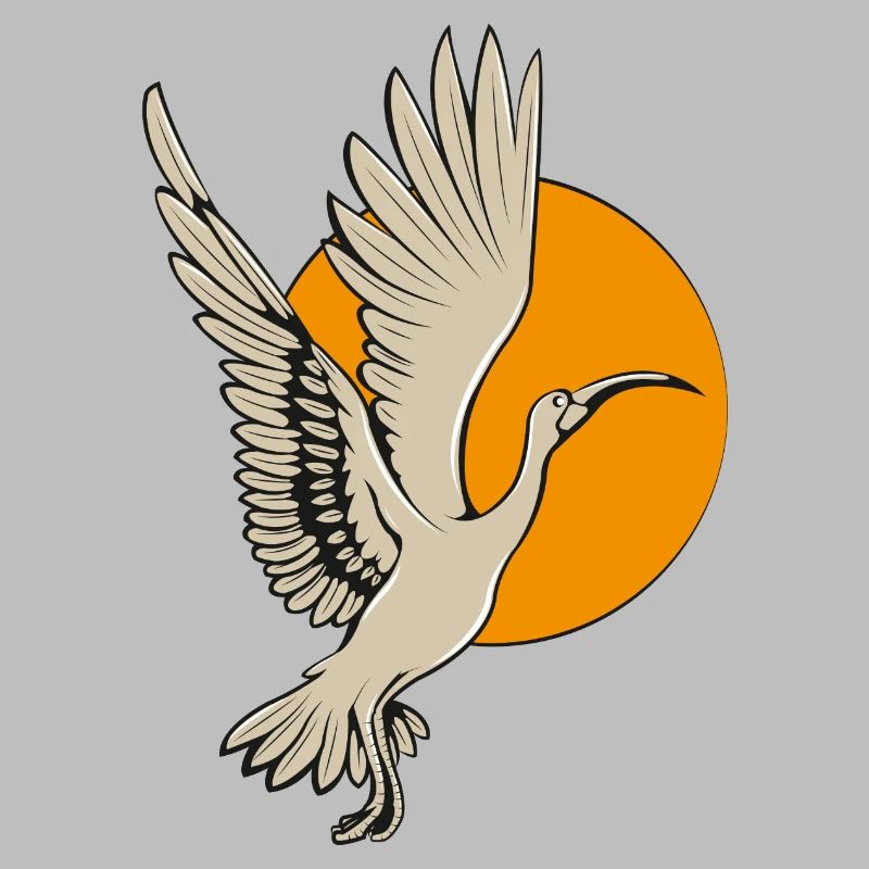 Ibis