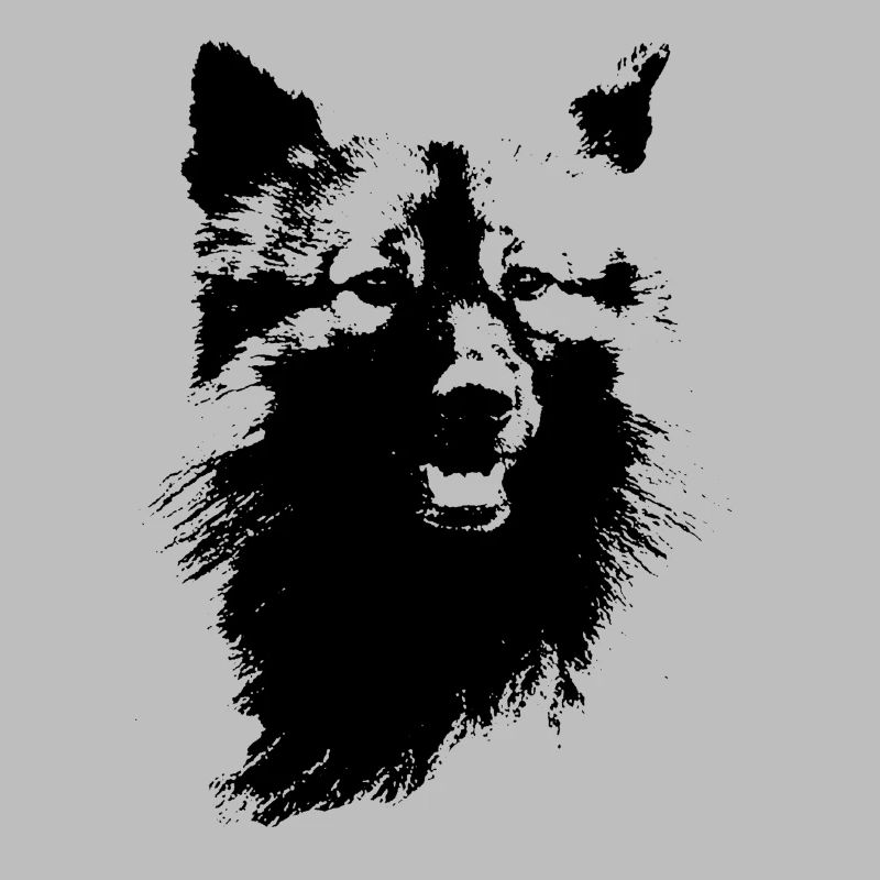 Wolfsspitz Kopf