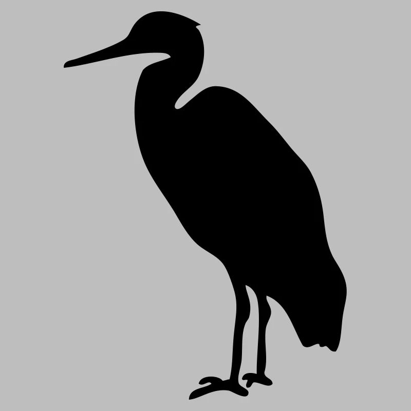 Storch Watvogel