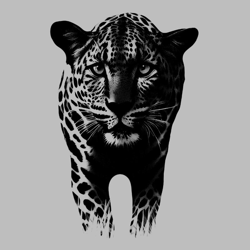 Leopard Gepard Raubkatze