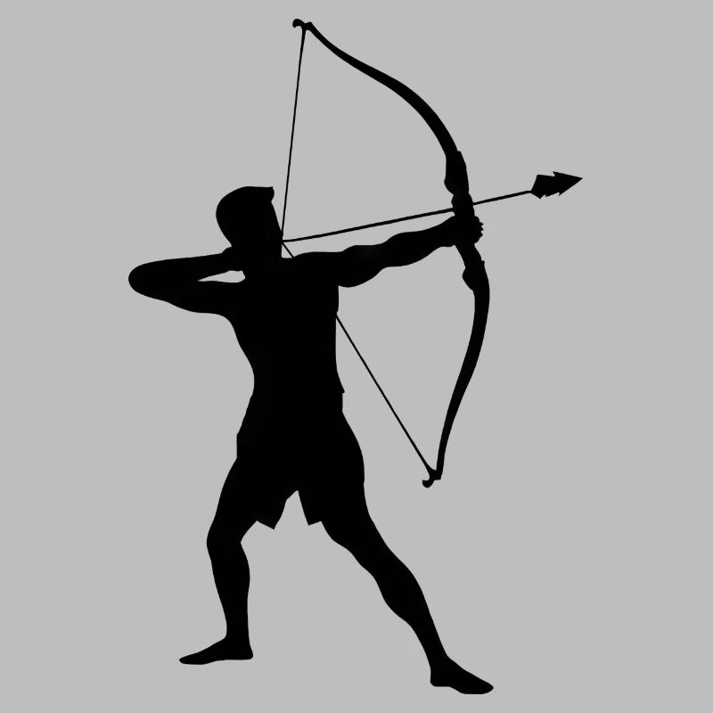 Archer Silhouette, Precise