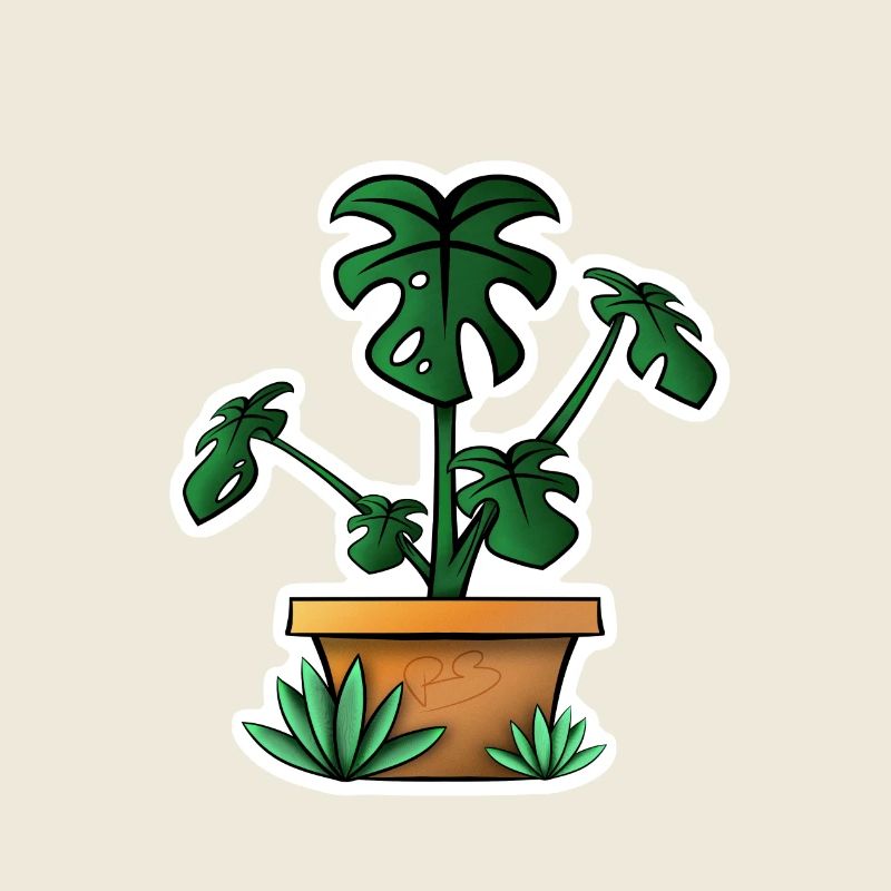Monstera !