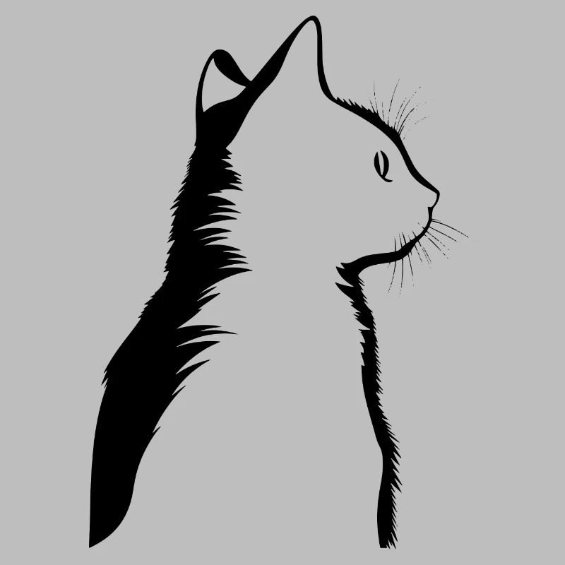 Chat, Motif De Chat