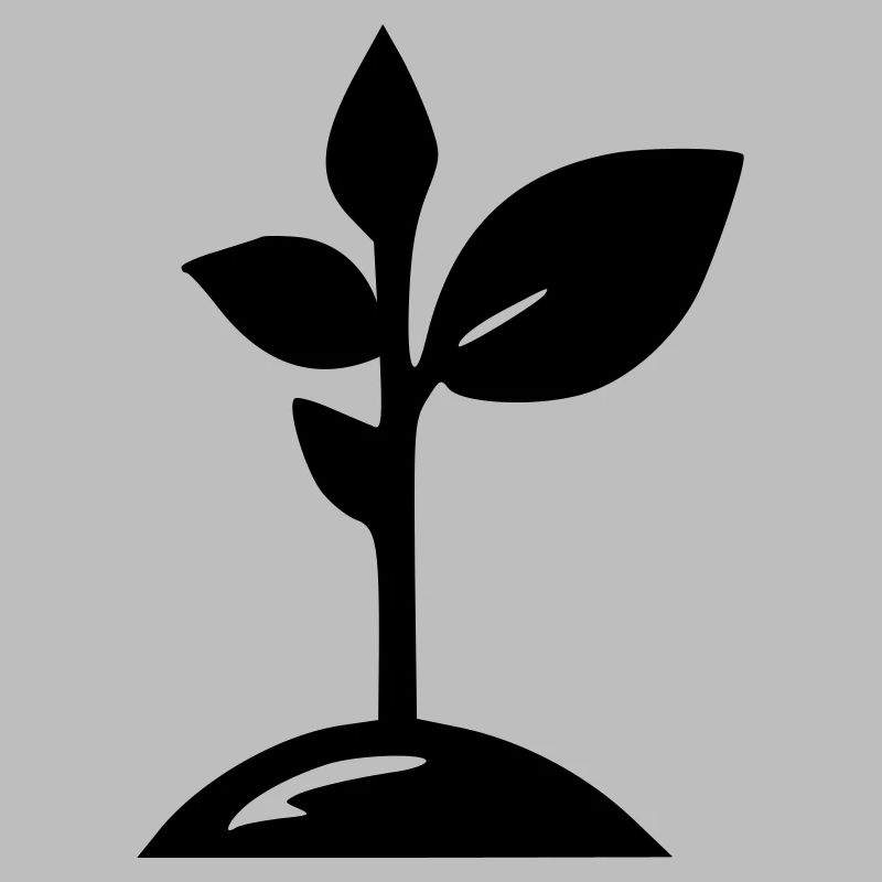 Pousse de plante