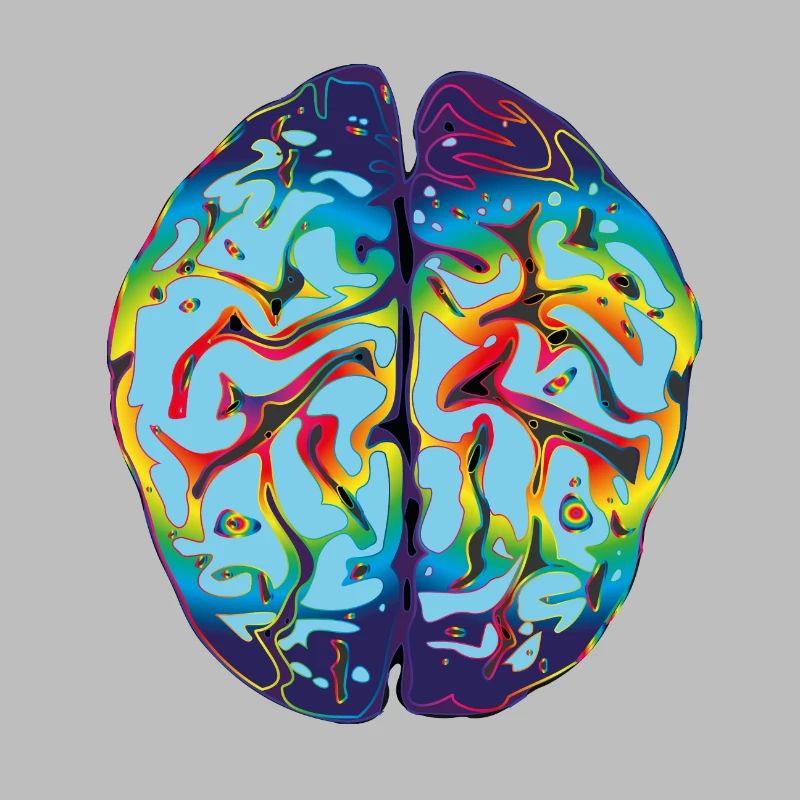 LSD Brain
