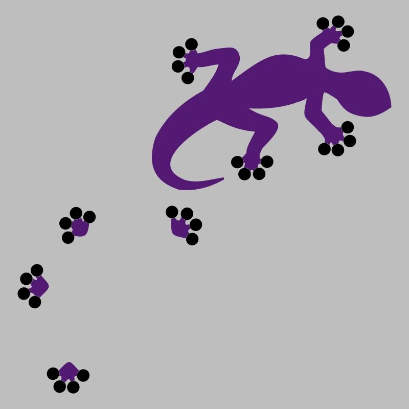 Gecko - 2c